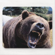 Roaring Teddy Bear mousepads