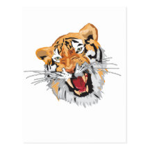 Roaring Tiger Post Card