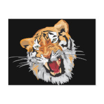 Roaring Tiger Post Cards