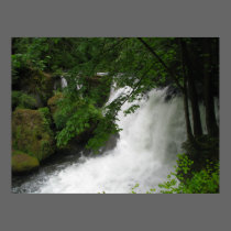 Roaring Waterfall posters