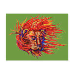 ROAR'n Post Card