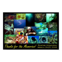 Roatan Collage Poster posters