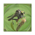 Robber Fly 5 ~ mag magnets