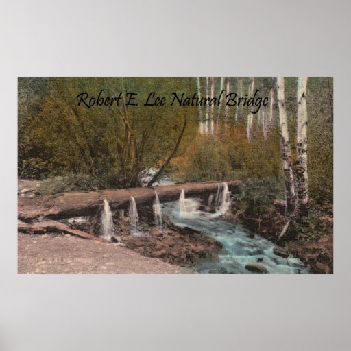 Robert E. Lee Natural Bridge Posters Zazzle