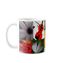 Roberta mugs