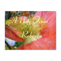 Roberta postcards