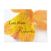 Roberta postcards by lollypopgirrrl Roberta postcards