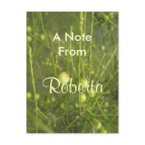 Roberta Postcard