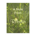 Roberta postcards