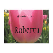 Roberta postcards