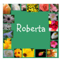 Roberta posters