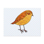 Roberta Robin Post Cards