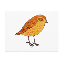Roberta Robin Post Cards