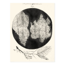 RobertHookeMicrographia1665 Postcards
