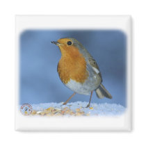 Robin 8M081D-06 magnets