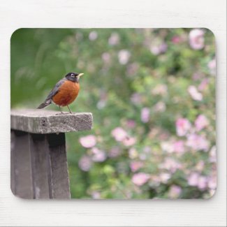 Robin and Wild Roses Photo Mouse Pads