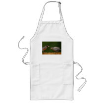 robin aprons