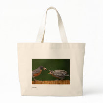 Robin bags
