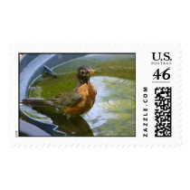 Robin Bathing postage
