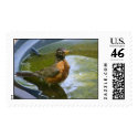 Robin Bathing postage