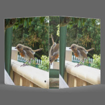 Robin Binder binders