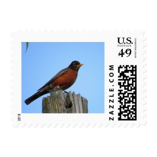 Robin Bird Stamps