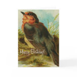 Robin Birthday Greeting Cards Robin Birthday Greeting Cards