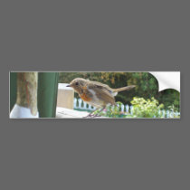 Robin Bumper Sticker bumper stickers