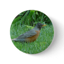 robin pinback button