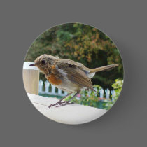 Robin Button Badge