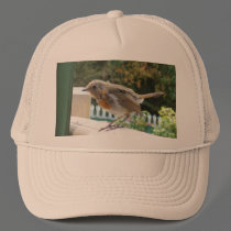 Robin Cap hats
