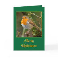 Robin card