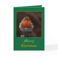 Robin card