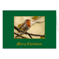 Robin card