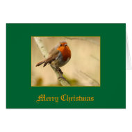 Robin card