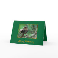 Robin card