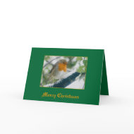 Robin card