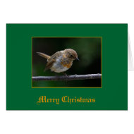 Robin card