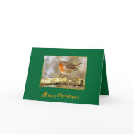 Robin card