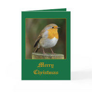 Robin card