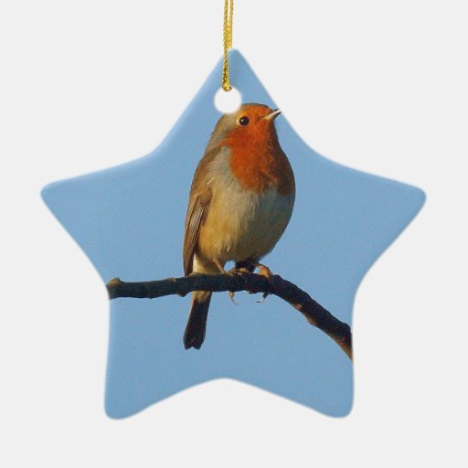 vivid arts robin ornaments