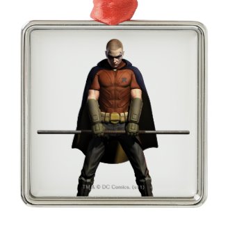 Robin Color Ornament