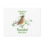 Robin Connecticut State Bird Post Card