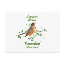 Robin Connecticut State Bird postcards