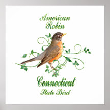 Robin Connecticut State Bird Poster