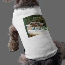 Robin Dog Clothing pet clothing