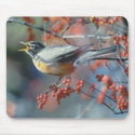 Robin eating berry mousepads by amwesley Robin eating berry mousepads