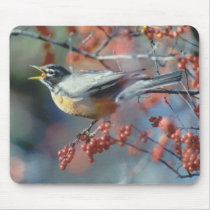 Robin eating berry mousepads