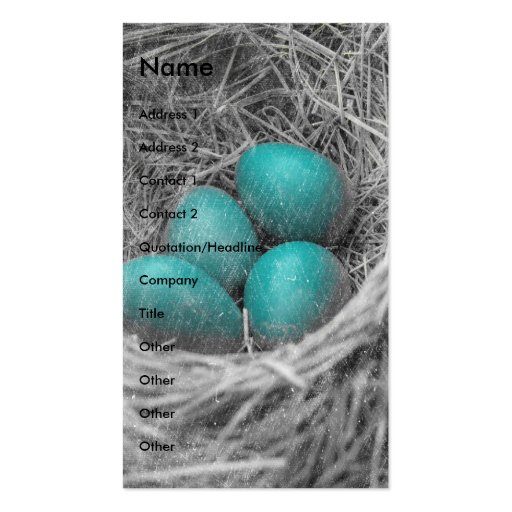 Robin Eggs Grunge Business Card Template (front side)