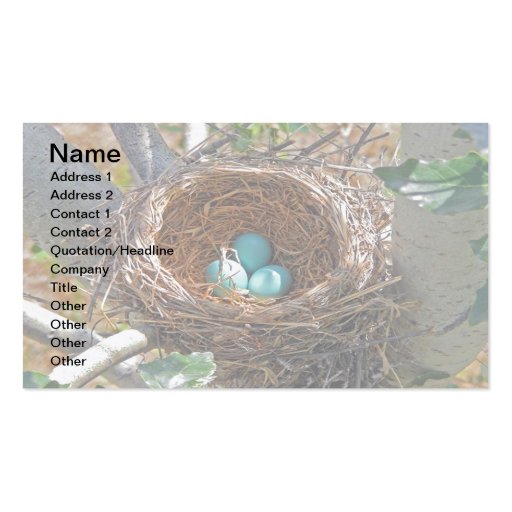 Robin Eggs in a Backyard Tree Nest Business Card Template (front side)